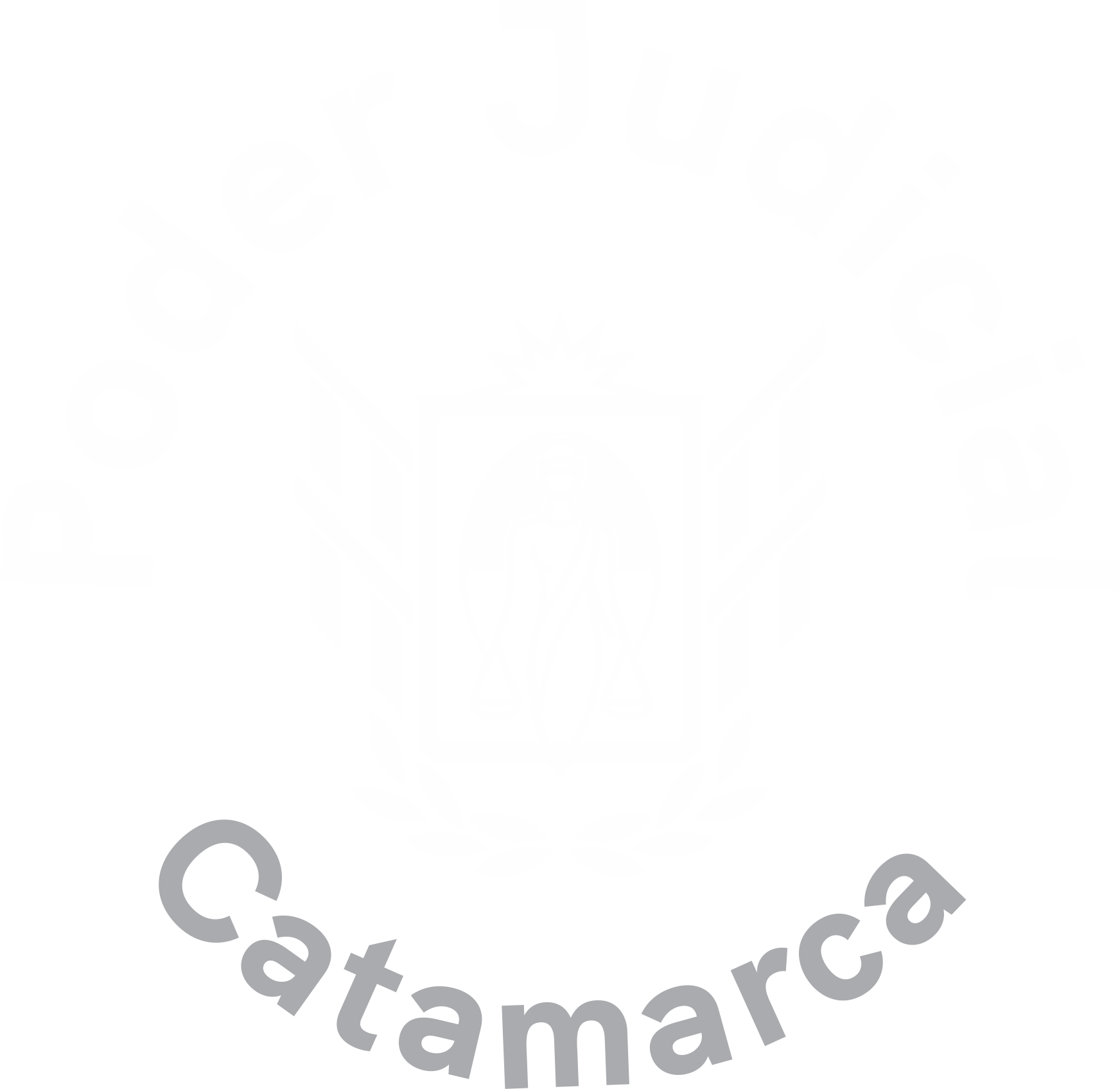 Guia judicial poder judicial de la provincia de catamarca